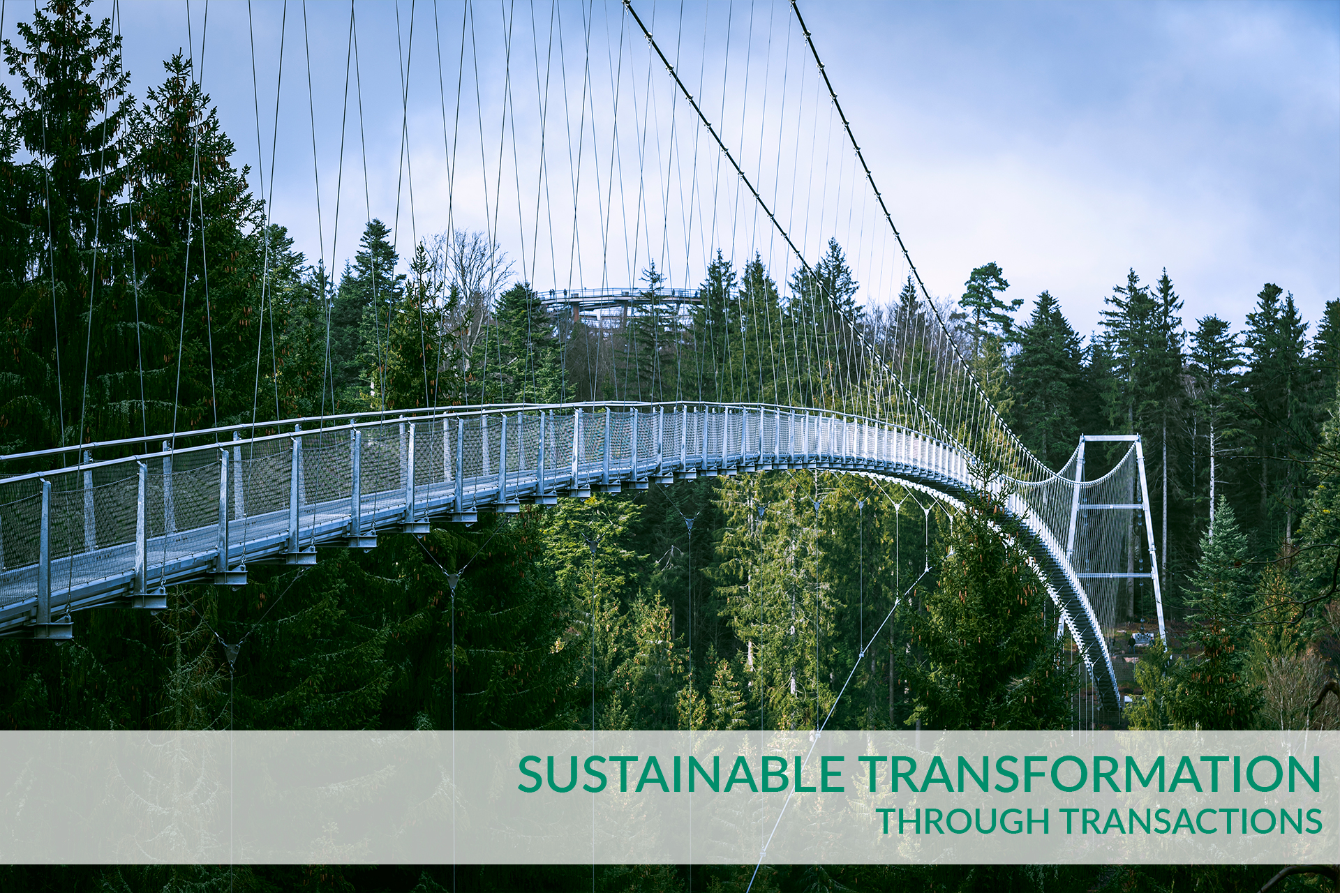 ELCH, Consulting, Services, Transaction, Text